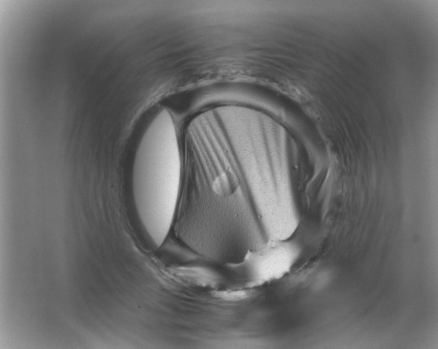 X0000065960735200603241846