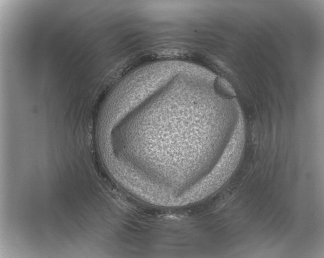 X0000065960737200603241846