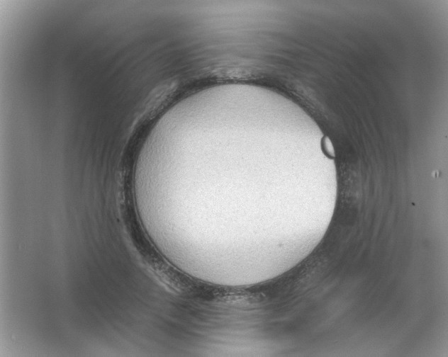 X0000065960738200603241846