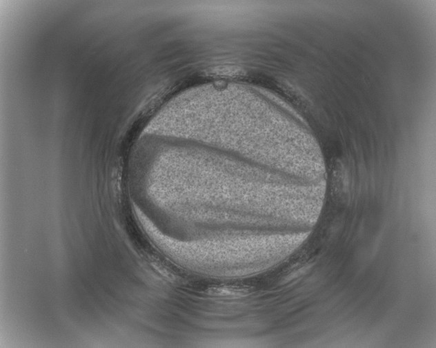 X0000065960739200603241846