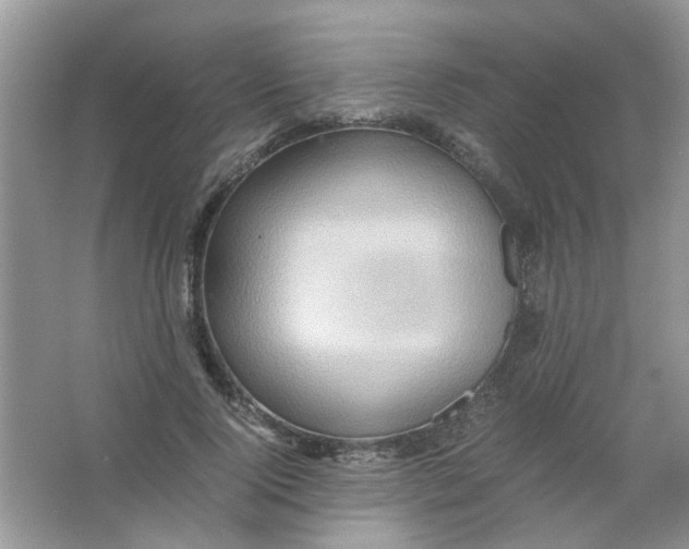 X0000065960740200603241846