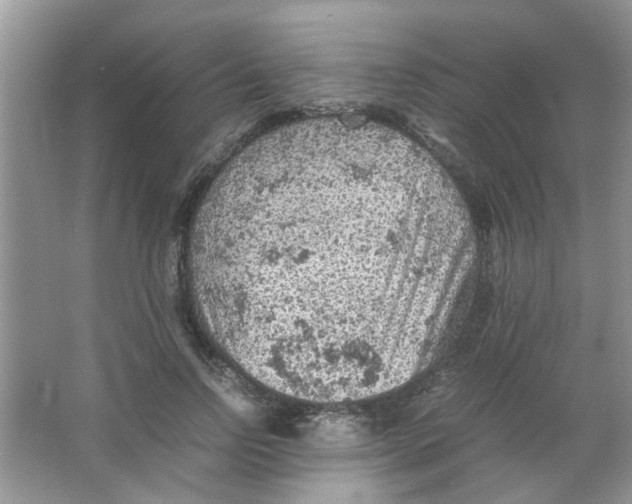 X0000065960742200603241846