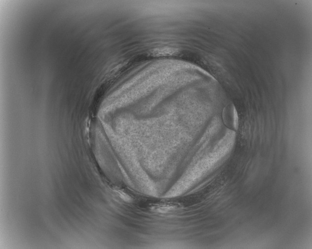 X0000065960743200603241846