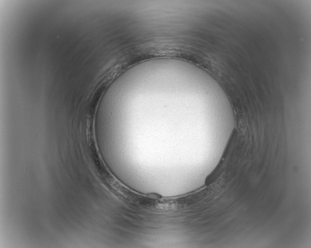 X0000065960744200603241846