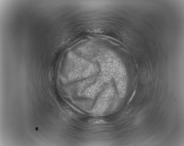 X0000065960747200603241847