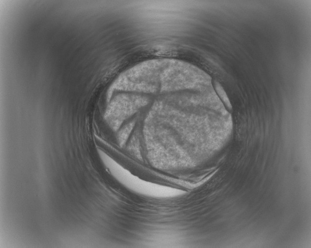 X0000065960748200603241847