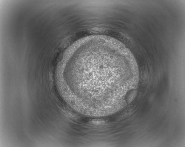 X0000065960749200603241847