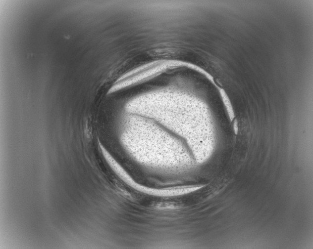 X0000065960751200603241847