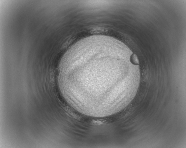 X0000065960753200603241847