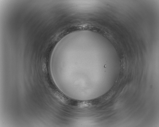 X0000065960754200603241847