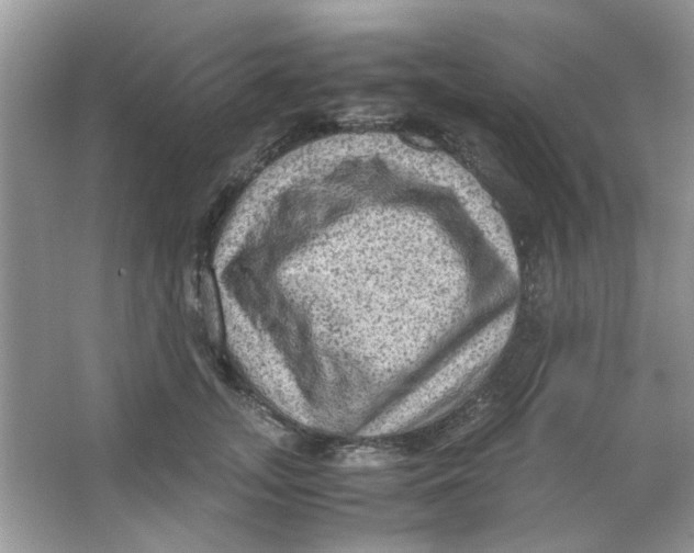 X0000065960755200603241847