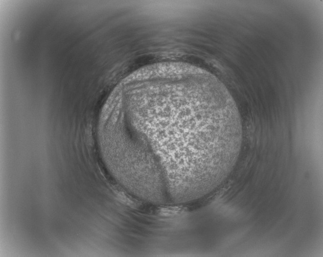 X0000065960757200603241847