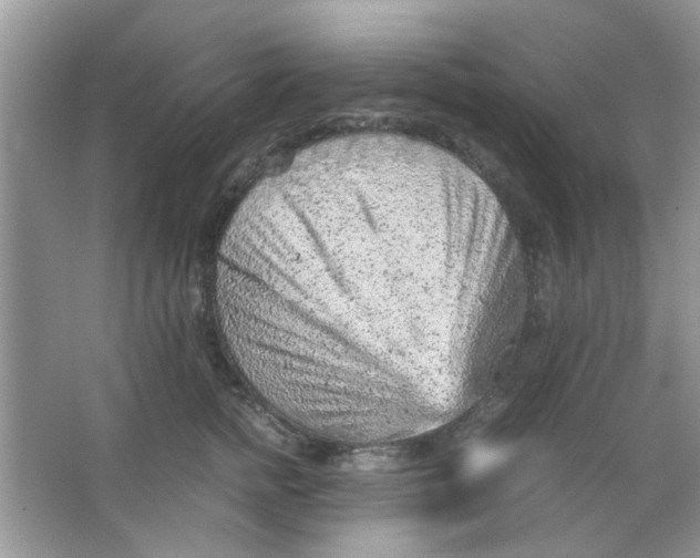 X0000065960758200603241847