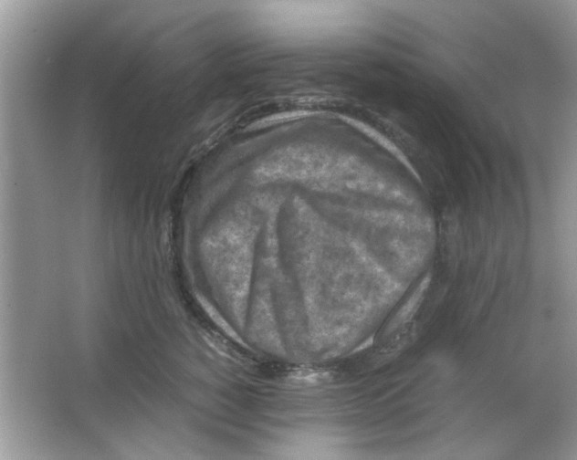 X0000065960760200603241847