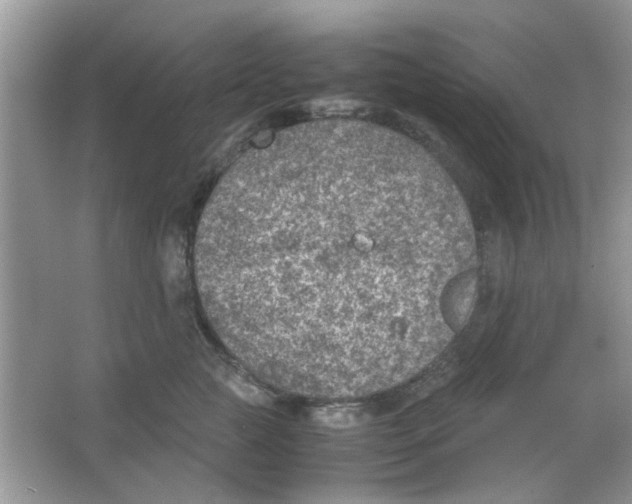 X0000065960761200603241847