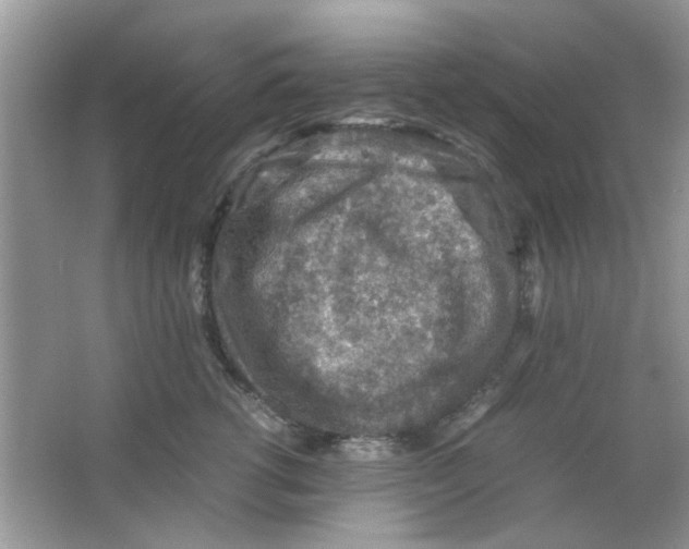 X0000065960762200603241847