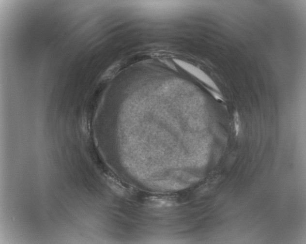 X0000065960763200603241847