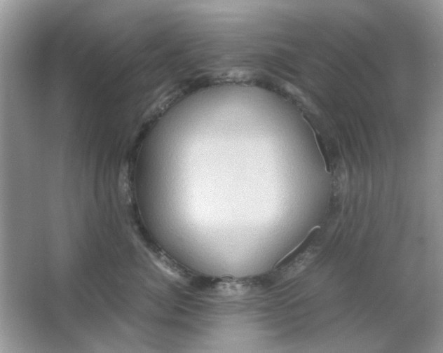 X0000065960764200603241847