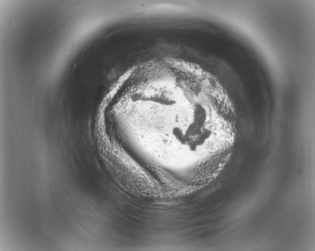 X0000065960765200603241847