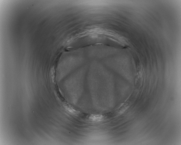 X0000065960767200603241847