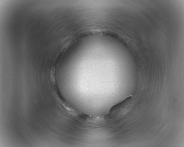 X0000065960768200603241847