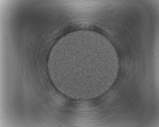 X0000065960769200603241846