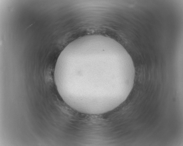 X0000065960770200603241846