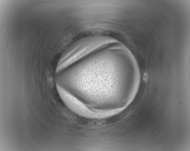 X0000065960771200603241846