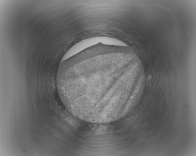 X0000065960772200603241846