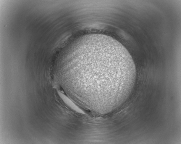 X0000065960774200603241846