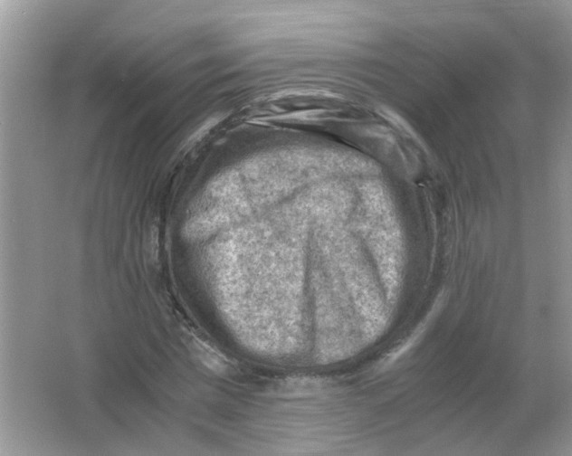 X0000065960777200603241846