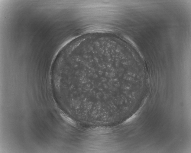 X0000065960779200603241846