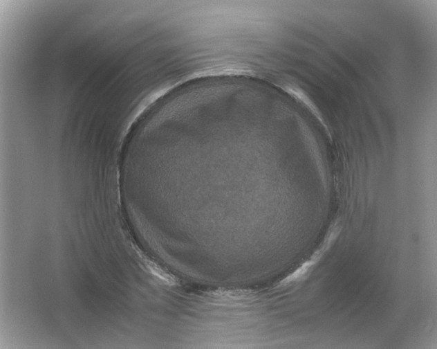 X0000065960781200603241846