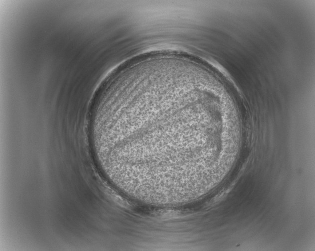 X0000065960783200603241846