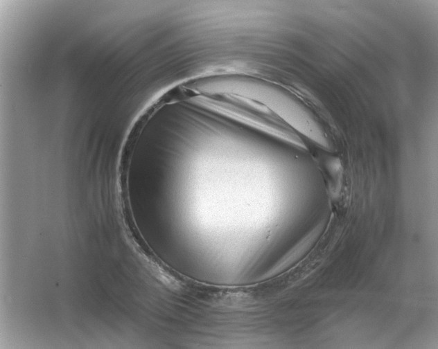 X0000065960784200603241846