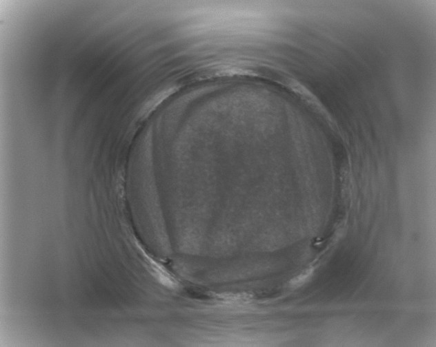 X0000065960785200603241846