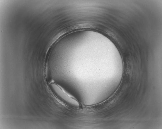 X0000065960786200603241846