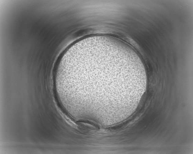 X0000065960787200603241846