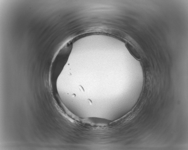 X0000065960788200603241846