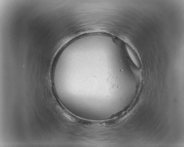 X0000065960789200603241846