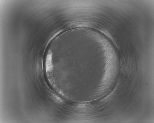 X0000065960790200603241846