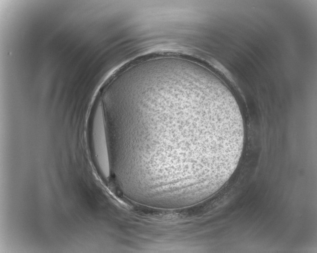 X0000065960791200603241846