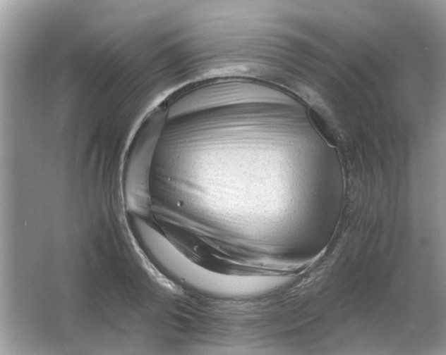 X0000065960792200603241846