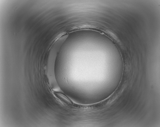 X0000065960793200603241846