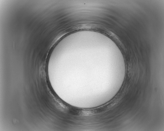 X0000065960794200603241846