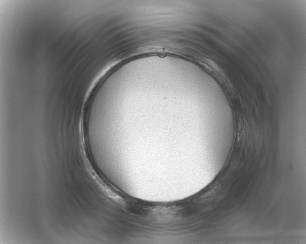 X0000065960796200603241846