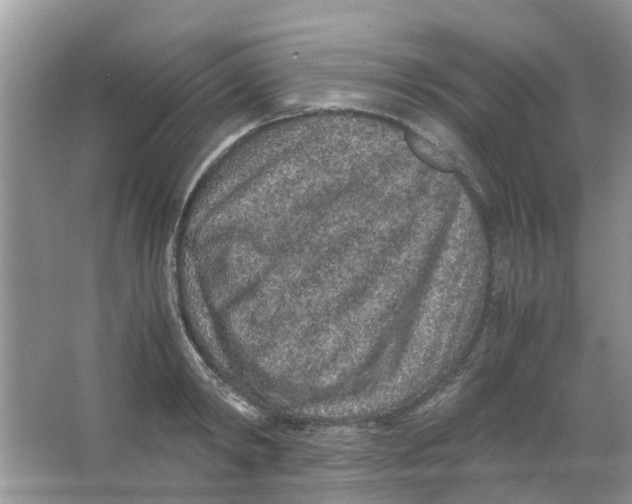 X0000065960798200603241846