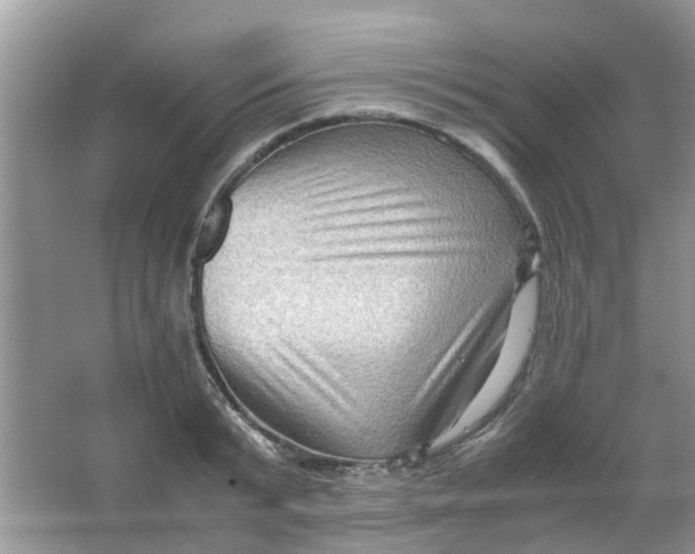 X0000065960799200603241846