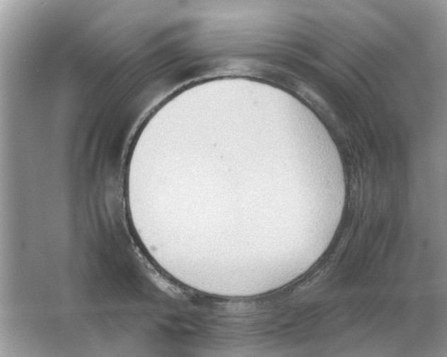 X0000065960800200603241846