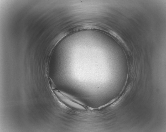 X0000065960801200603241846